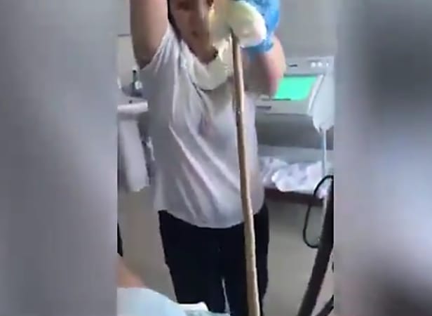 4 feet snake from the mouth