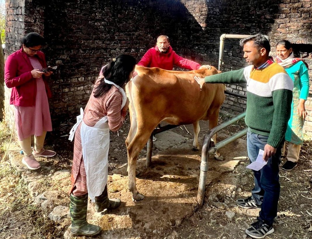 469865385_1739339470256396_1828878679932754389_n